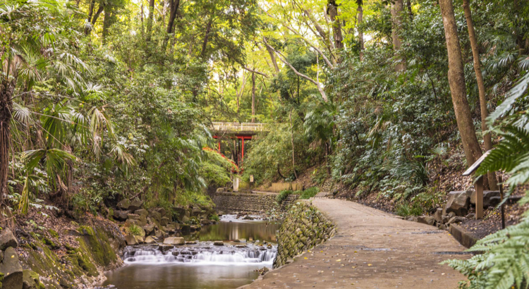 Tokio Todoroki Park